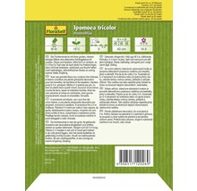 Samenpackung Trichterwinde Himmelblau von FloraSelf