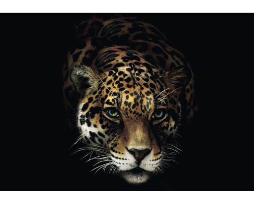 Papier peint panoramique papier Leopard noir jaune 254 x 184 cm