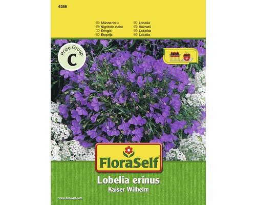 Lobélie 'Kaiser Wilhelm' FloraSelf semences stables graines de fleurs