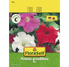 FloraSelf Petunia grandiflora Mix Samenpackung