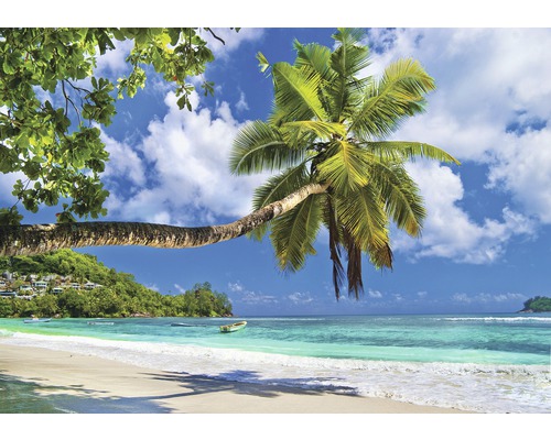 Papier peint panoramique papier plage de palmiers bleu vert 254 x 184 cm