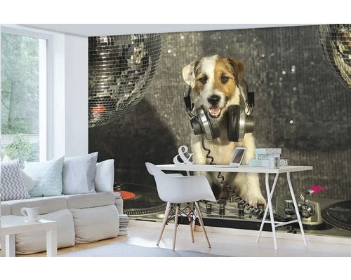Papier peint photo avec chien, casque et boules disco dans le salon