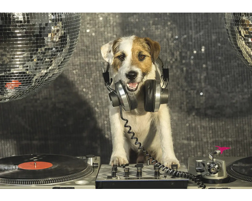 Papier peint panoramique papier DJ chien argent 254 x 184 cm
