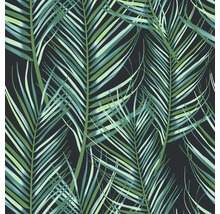 Papier peint avec motif de feuilles de palmier tropicales