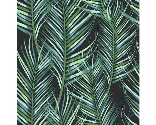 Papier peint avec motif de feuilles de palmier tropicales