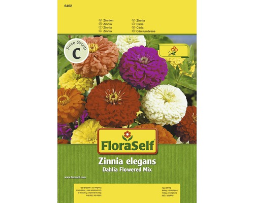 Zinnia 'Dahlia Flowered Mix' FloraSelf semences stables graines de fleurs