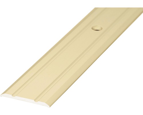 Barre de seuil Prinz aluminium sahara perforé 25 x 1000 mm Profilé de transition pour revêtements de sol