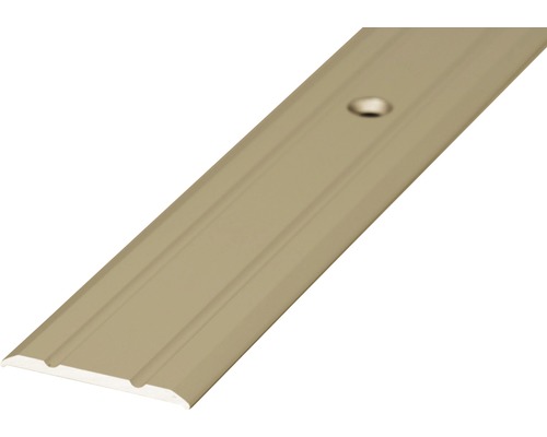 Barre de seuil Prinz aluminium acier inoxydable mat perforé 25 x 1000 mm