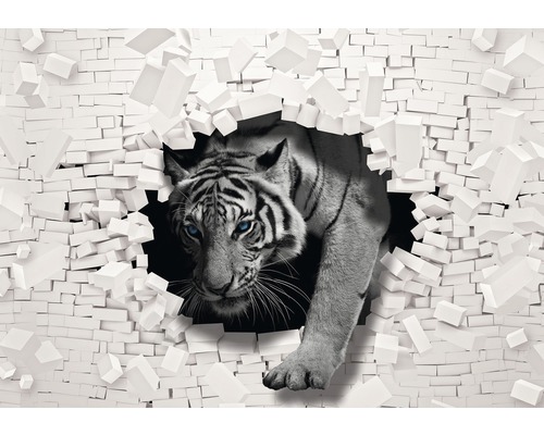 FototapeteVlies 10400 VEXXXL Tiger 3D weiss grau 4-tlg.416 x 254 cm