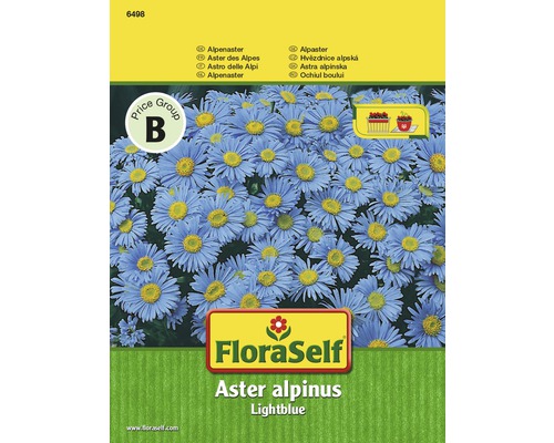 Aster des Alpes 'Lightblue' FloraSelf semences stables graines de fleurs