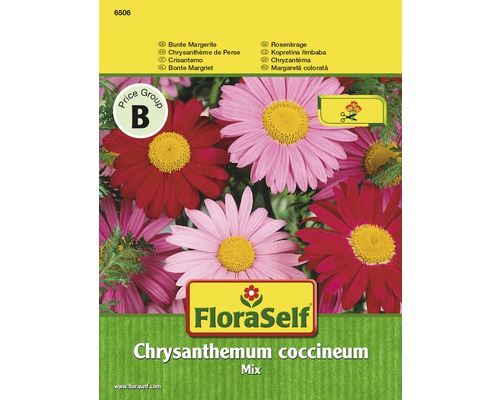 Margerite Mix FloraSelf samenfestes Saatgut Blumensamen