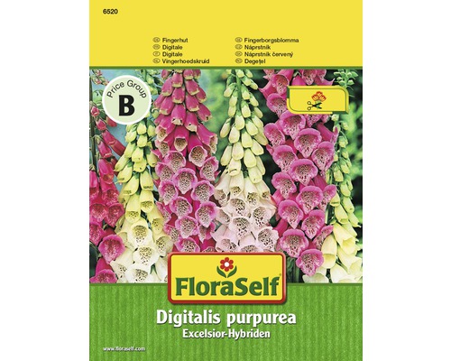 Digitale 'Excelsior Hybride' FloraSelf semences stables graines de fleurs