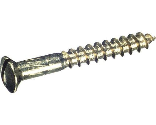 Vis à bois à tête fraisée bombée avec fente DIN 95 4 x 25 mm laiton chromé 200 pièces Vis à bois à tête fraisée bombée avec fente DIN 95 4 x 25 mm laiton chromé 200 pièces