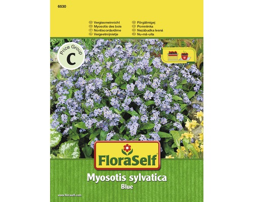 Myosotis 'Myosotis sylvatica' semences de fleurs FloraSelf®