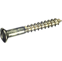 Einzelne Holzschraube mit Schlitzkopf