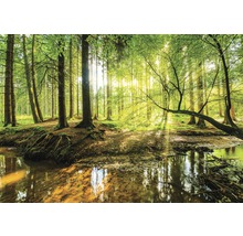 Fototapete Papier 10513P4 Waldbach grün gelb 2-tlg. 254 x 184 cm-thumb-0