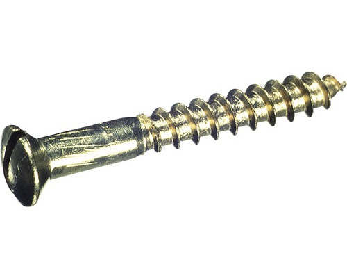 Vis à bois à tête fraisée bombée avec fente DIN 95 5 x 50 mm laiton chromé 200 pièces Vis à bois à tête fraisée bombée avec fente DIN 95 5 x 50 mm laiton chromé 200 pièces
