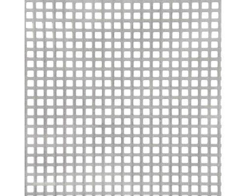 Tôle perforée carrée en acier250x500x1 mm, 8 mm Grille en plastique avec ouvertures carrées