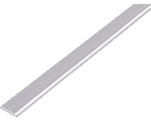 Profilé de recouvrement avec bord arrondi Alu nature 19x4 mm, 1 m