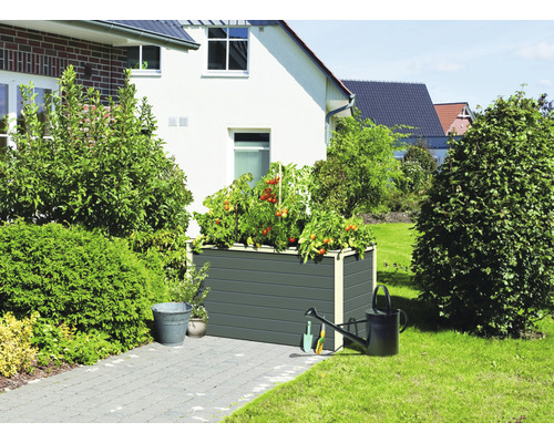 Jardinière surélevée avec plants de tomates, arrosoir et outils de jardin dans le jardin