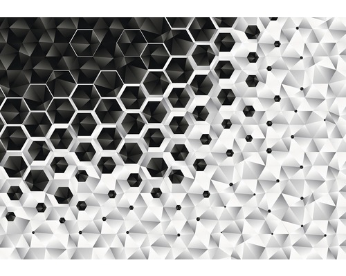 Fototapete Vlies 10685 VEXXL3D schwarz weiss 3-tlg. 312 x 219 cm Abstraktes Muster mit Dreiecken und Sechsecken