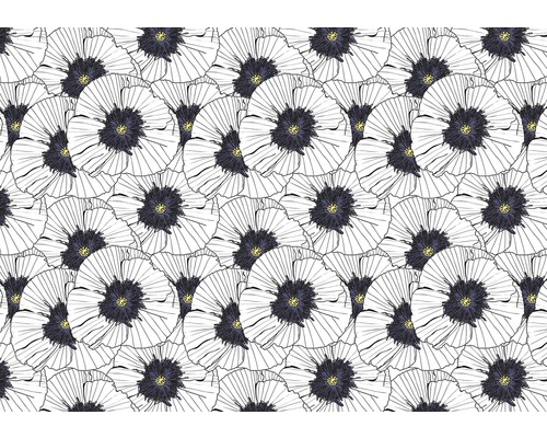 Papier peint photo papier Gezeichnete Blume blanc bleu 254 x 184 cm Papier peint intissé avec motif de coquelicots