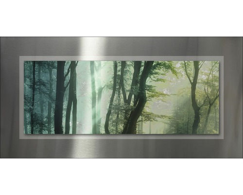 Metallbild Alu Trees&Sun 50x100 cm