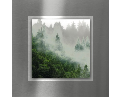 Tableau métallique Alu Trees&White mist II 50x50 cm
