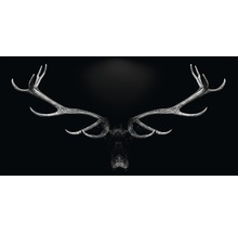 Metallbild Alu Grey Deer Head 100x200 cm-thumb-0