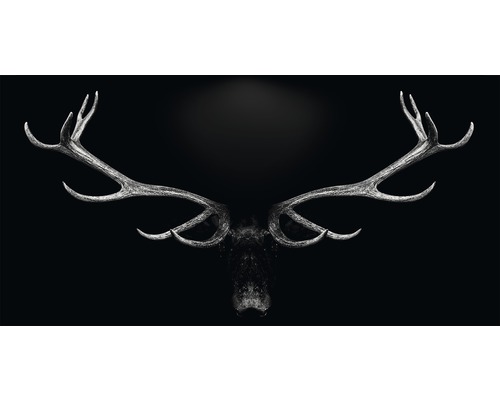 Metallbild Alu Grey Deer Head 100x200 cm-0