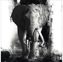 Originalbild Handpainting Elephant 100x100 cm-thumb-0