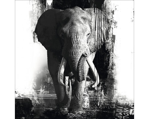 Oeuvre originale Handpainting Elephant 100x100 cm
