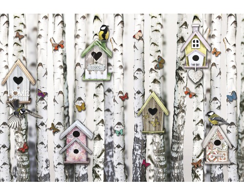 Papier peint photo papier Vogelhäuschen blanc gris 254 x 184 cm Scène décorative avec des bouleaux, des nichoirs, des oiseaux et des papillons pour une atmosphère vivante.