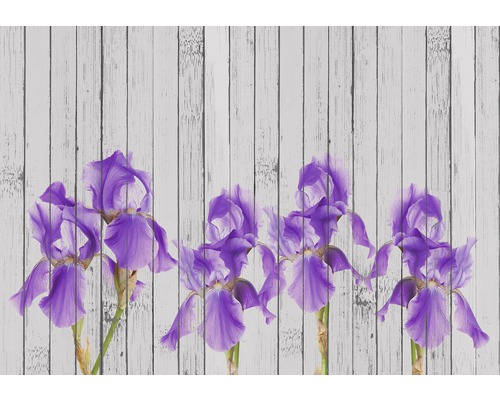 Fototapete Papier Schwertlilien Holz lila grau 254 x 184 cm