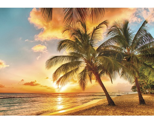Papier peint panoramique intissé Sonnenuntergang jaune orange 312 x 219 cm Paysage de plage avec palmiers et coucher de soleil