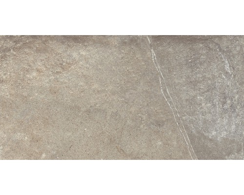 Carrelage pour sol Atmosphere Tortora marron 30x60 cm Carreau aspect pierre