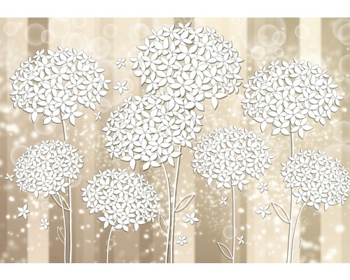 Fototapete Vlies 3500 VEXXLBlumen weiss beige 3-tlg. 312 x 219 cm Illustration von weißen Blumen auf beigem Grund