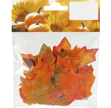 Packung mit Herbstlaubdekoration