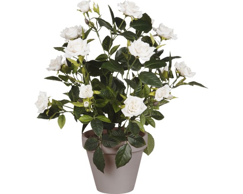 Fleur artificielle Rose Ø 25 cm blanc