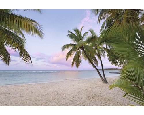 Papier peint panoramique intissé XXL4-528 Paradise Morning 4 pces 248 x 368 cm Vue sur la plage avec des palmiers