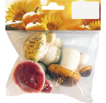 Dekorative Pilze aus Kunststoff in einer Verpackung