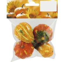 Emballage de courges ornementales