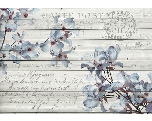 Papier peint photo intissé Carte Postale bleu gris 250 x 104 cm
