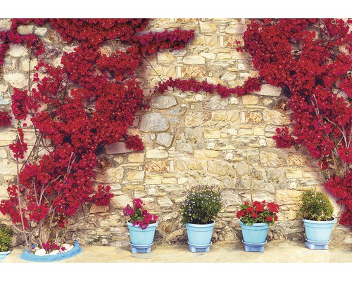 Papier peint photo papier Mauer mit fleurs beige rose 254 x 184 cm Un mur de pierre avec des bougainvilliers en fleurs et des plantes en pot.
