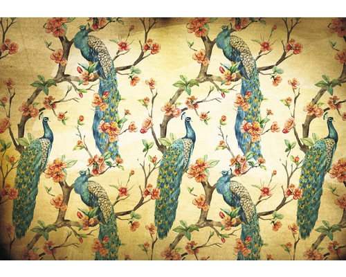 Papier peint panoramique intissé Pfau orange jaune 312 x 219 cm Papier peint avec motif de paons et de fleurs de cerisier