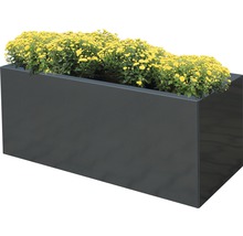 Rechteckiger Pflanzkasten mit gelben Blumen