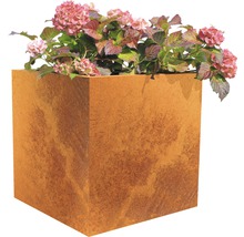Bac à plantes Nora 60x60x60 cm acier Corten