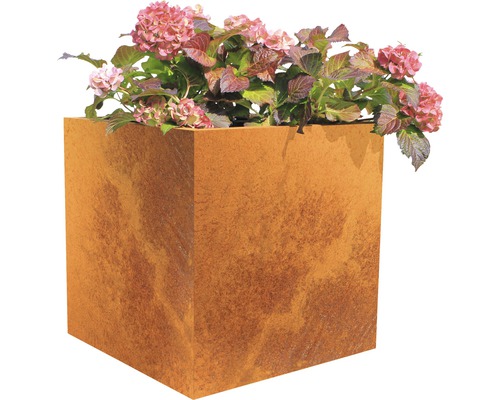 Bac à plantes Palatino Nora acier Corten 60x60x60 cm rouille