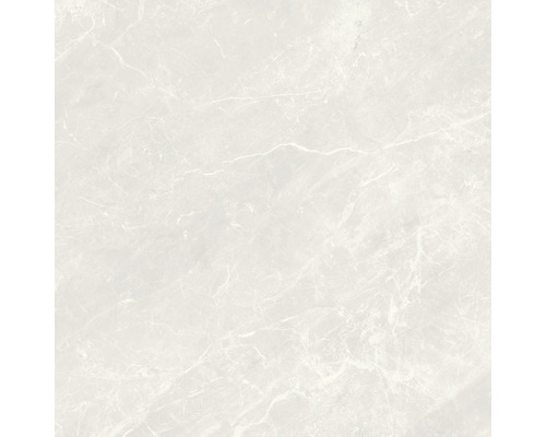 Carrelage pour sol et mur Balmoral silver émaillé 60x60 cm