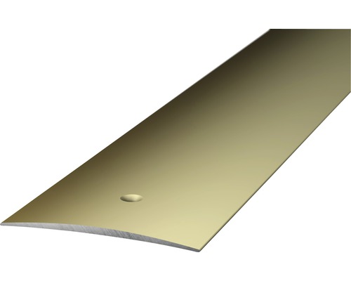Barre de seuil Prinz aluminium acier inoxydable mat perforé 40 x 1000 x 4,6 mm
